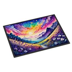 18 x 27 in. Unisex Violets in Color Doormat