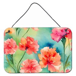 DAC1549DS812 12 x 8 in. Carnations in Watercolor Wall or Door Hanging Prints