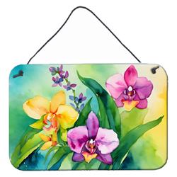 DAC1564DS812 12 x 8 in. Orchids in Watercolor Wall or Door Hanging Prints