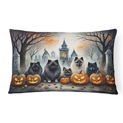 16 x 12 in. Unisex Keeshond Spooky Halloween Fabric Decorative Pillow
