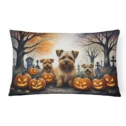 16 x 12 in. Unisex Norfolk Terrier Spooky Halloween Fabric Decorative Pillow