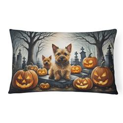 16 x 12 in. Unisex Norwich Terrier Spooky Halloween Fabric Decorative Pillow
