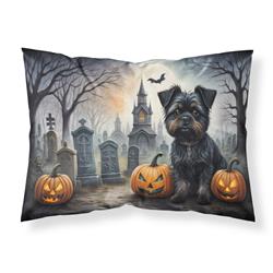 DAC2001PILLOWCASE 20.5 x 30 in. Unisex Affenpinscher Spooky Halloween Fabric Standard Pillowcase