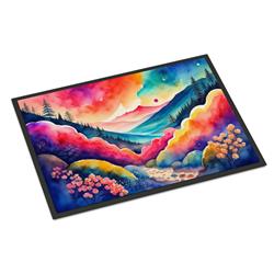 18 x 27 in. Unisex Brunia in Color Doormat