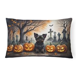 16 x 12 in. Unisex Affenpinscher Spooky Halloween Fabric Decorative Pillow