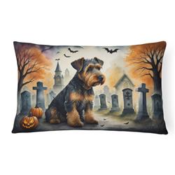 16 x 12 in. Unisex Airedale Terrier Spooky Halloween Fabric Decorative Pillow