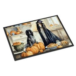 DAC1721JMAT 24 x 36 in. Unisex Afghan Hound Fall Kitchen Pumpkins Indoor or Outdoor Mat