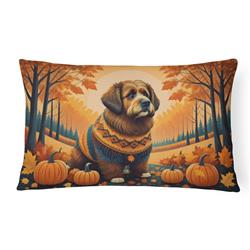 16 x 12 in. Unisex Briard Fall Fabric Decorative Pillow
