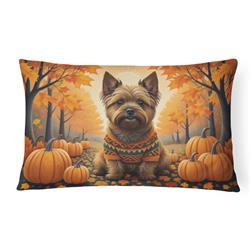 16 x 12 in. Unisex Cairn Terrier Fall Fabric Decorative Pillow