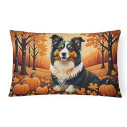 16 x 12 in. Unisex Collie Fall Fabric Decorative Pillow