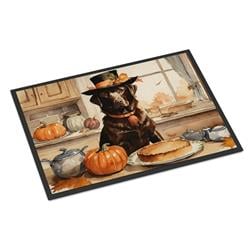 18 x 27 in. Unisex Chocolate Lab Fall Kitchen Pumpkins Doormat