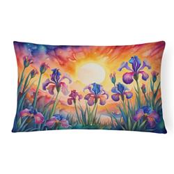 16 x 12 in. Unisex Iris in Color Fabric Decorative Pillow