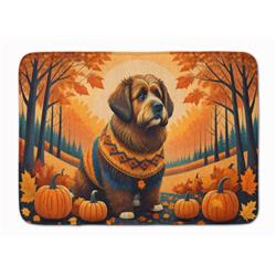 19 x 27 in. Unisex Briard Fall Memory Foam Kitchen Mat