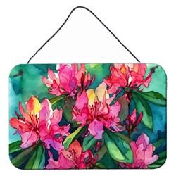 DAC1716DS812 12 x 8 in. Unisex West Virginia Rhododendrons in Watercolor Wall or Door Hanging Prints