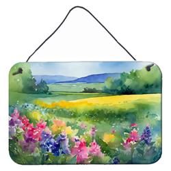 DAC1670DS812 12 x 8 in. Unisex Massachusetts Mayflowers in Watercolor Wall or Door Hanging Prints