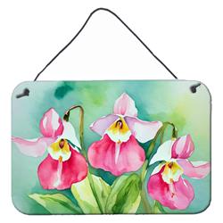 DAC1673DS812 12 x 8 in. Unisex Minnesota Pink & White Ladys Slippers in Watercolor Wall or Door Hanging Prints