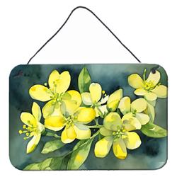DAC1704DS812 12 x 8 in. Unisex South Carolina Yellow Jessamine in Watercolor Wall or Door Hanging Prints