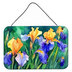 DAC1706DS812 12 x 8 in. Unisex Tennessee Iris in Watercolor Wall or Door Hanging Prints