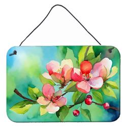 DAC1627DS812 12 x 8 in. Unisex Arkansas Apple Blossom in Watercolor Wall or Door Hanging Prints