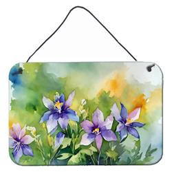 DAC1631DS812 12 x 8 in. Unisex Colorado Rocky Mountain Columbine in Watercolor Wall or Door Hanging Prints