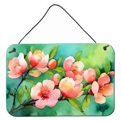 DAC1635DS812 12 x 8 in. Unisex Delaware Peach Blossom in Watercolor Wall or Door Hanging Prints