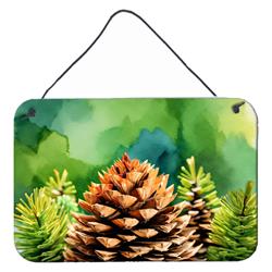 DAC1664DS812 12 x 8 in. Unisex Maine White Pine Cone & Tassels in Watercolor Wall or Door Hanging Prints