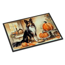 18 x 27 in. Unisex Collie Fall Kitchen Pumpkins Doormat