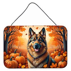 DAC1018DS812 12 x 8 in. Unisex Belgian Tervuren Fall Wall or Door Hanging Prints