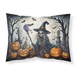 20.5 x 30 in. Unisex Witch Spooky Halloween Fabric Standard Pillowcase