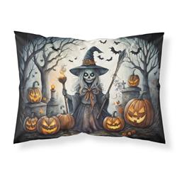 20.5 x 30 in. Unisex Witch Spooky Halloween Fabric Standard Pillowcase