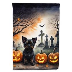 DAC2002CHF 40 x 28 in. Affenpinscher Spooky Halloween House Flag