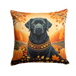 14 x 14 in. Unisex Black Labrador Retriever Fall Fabric Decorative Pillow