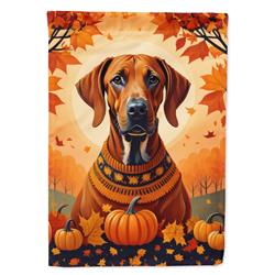 DAC1066CHF 40 x 28 in. Rhodesian Ridgeback Fall House Flag