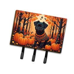 9 x 6 in. Unisex Affenpinscher Fall Leash or Key Holder