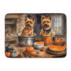 19 x 27 in. Unisex Norwich Terrier Fall Kitchen Pumpkins Memory Foam Kitchen Mat