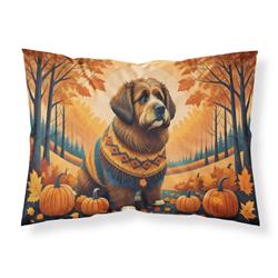 20.5 x 30 in. Unisex Briard Fall Fabric Standard Pillowcase