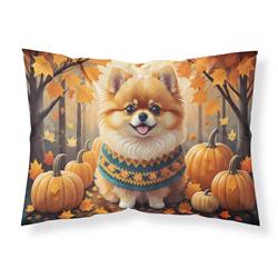 20.5 x 30 in. Unisex Pomeranian Fall Fabric Standard Pillowcase