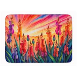 19 x 27 in. Unisex Gladiolus in Color Memory Foam Kitchen Mat