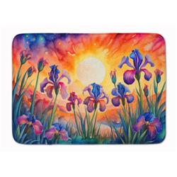 19 x 27 in. Unisex Iris in Color Memory Foam Kitchen Mat