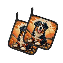 DAC1019PTHD 7.5 x 7.5 in. Unisex Bernese Mountain Dog Fall Pair of Pot Holders