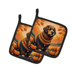 7.5 x 7.5 in. Unisex Briard Fall Pair of Pot Holders
