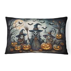 16 x 12 in. Unisex Witches Spooky Halloween Fabric Decorative Pillow