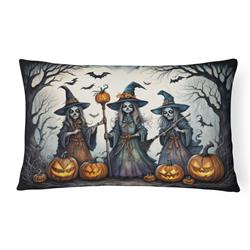 16 x 12 in. Unisex Witches Spooky Halloween Fabric Decorative Pillow