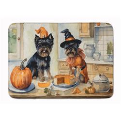19 x 27 in. Unisex Affenpinscher Fall Kitchen Pumpkins Memory Foam Kitchen Mat