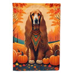 DAC1002CHF 40 x 28 in. Afghan Hound Fall House Flag