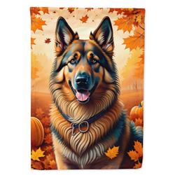DAC1018CHF 40 x 28 in. Belgian Tervuren Fall House Flag