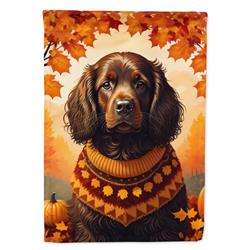 DAC1027CHF 40 x 28 in. Boykin Spaniel Fall House Flag