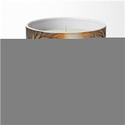 3.25 x 3.75 x 3.25 in. Mummies Spooky Halloween Decorative Soy Candle