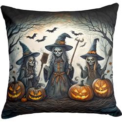 3 x 18 x 18 in. Witches Spooky Halloween Throw Pillow