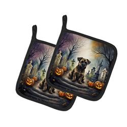 DAC2019PTHD 0.3 x 7.5 x 7.5 in. Border Terrier Spooky Halloween Pot Holders - Set of 2